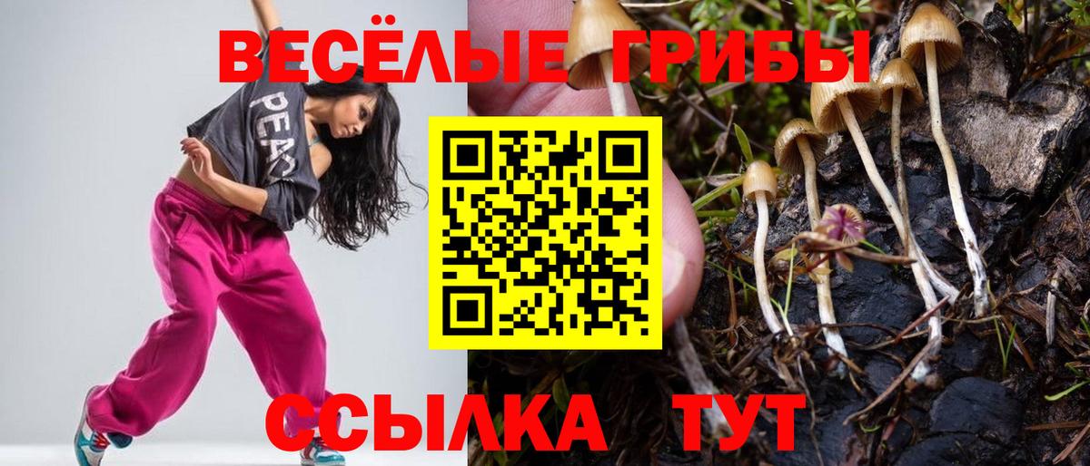 Галлюциногенные грибы мицелий Тобольск